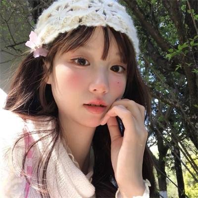 心之动力学