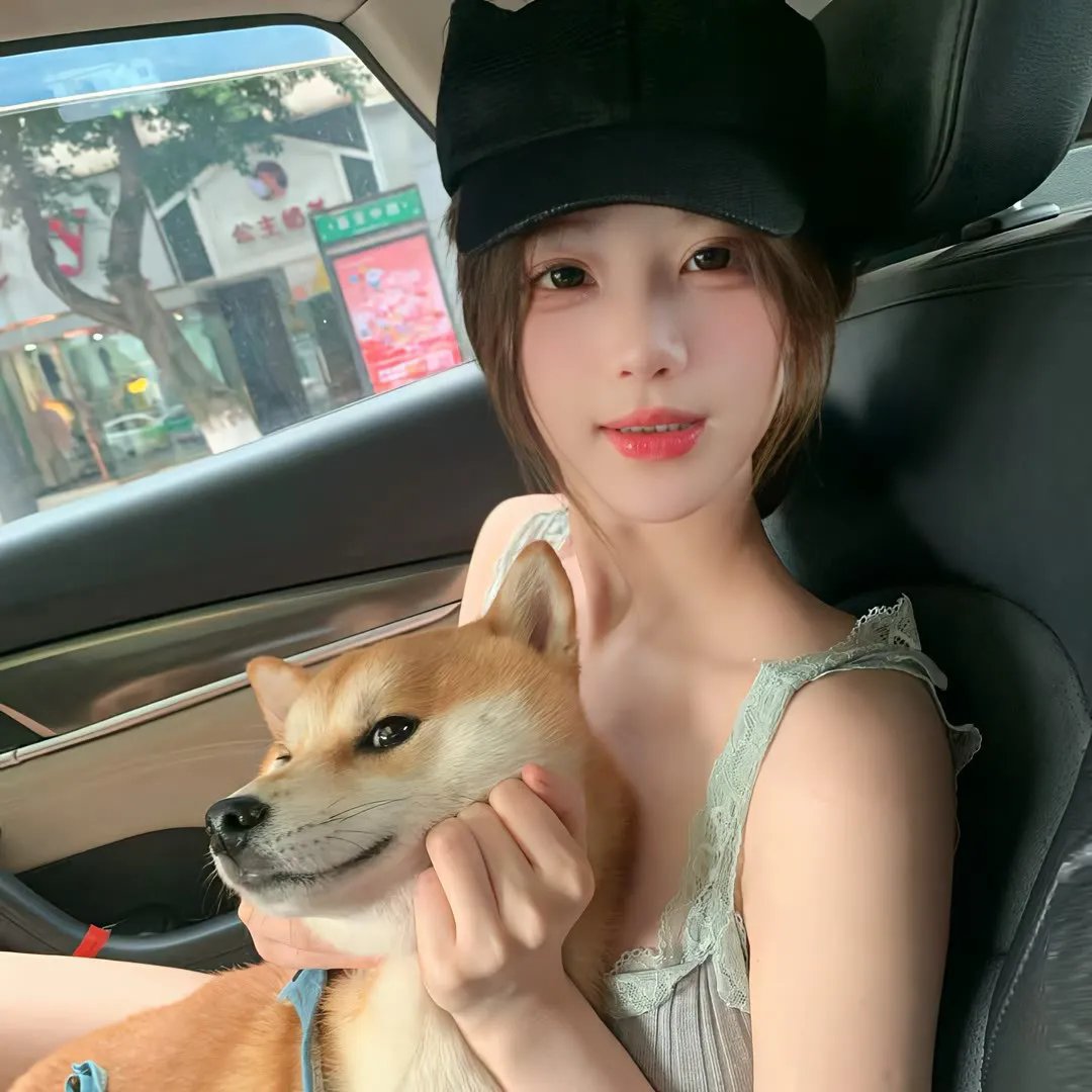 极速盗车